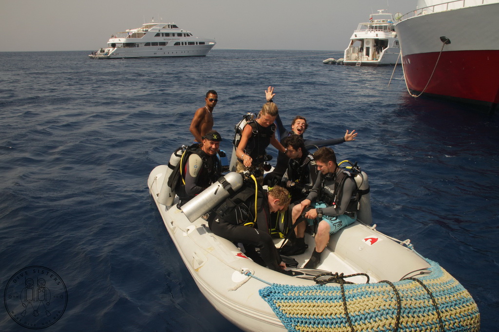 Сафари на Sea Serpent в июле 2013. Бразерсы, Дедалус, Эльфинстоун Сафари на Sea Serpent в июле 2013. Бразерсы, Дедалус, Эльфинстоун