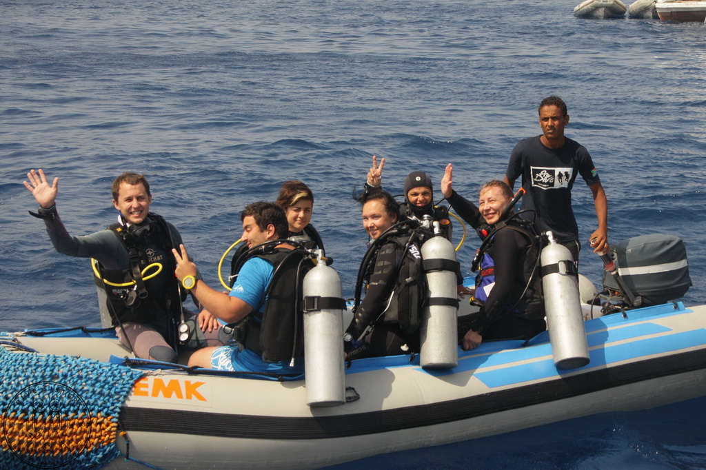 Сафари на Sea Serpent в июле 2013. Бразерсы, Дедалус, Эльфинстоун