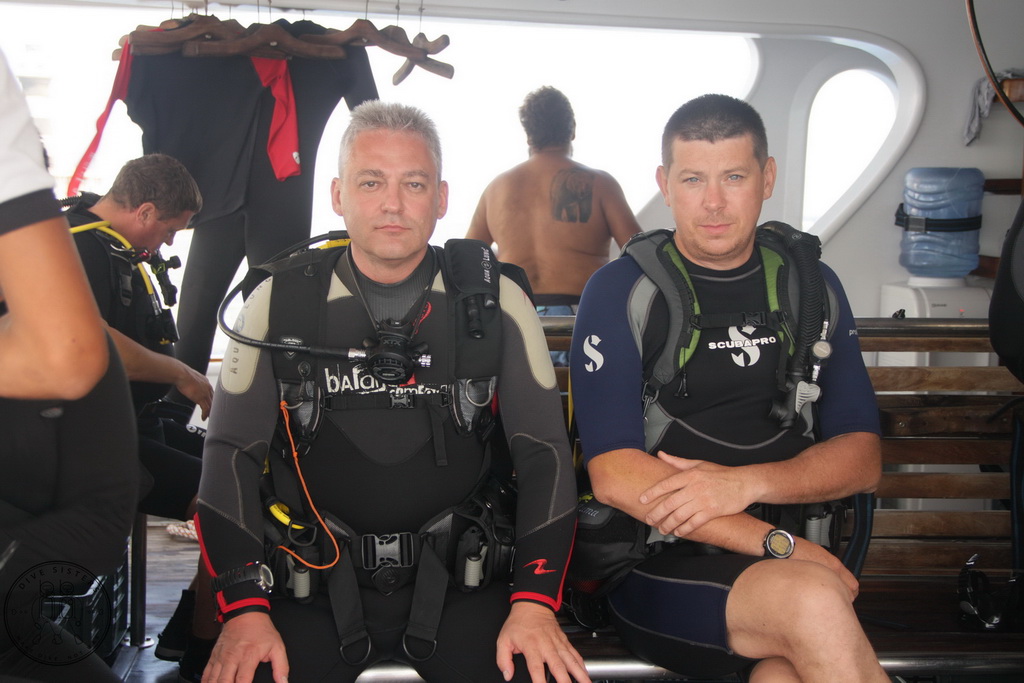 Сафари на Sea Serpent в июле 2013. Бразерсы, Дедалус, Эльфинстоун