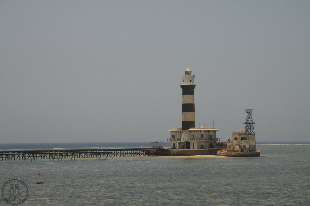 Сафари на Sea Serpent в июле 2013. Бразерсы, Дедалус, Эльфинстоун