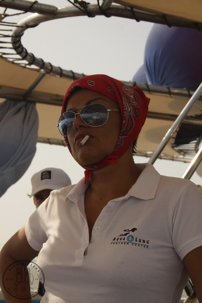 Сафари на Sea Serpent в июле 2013. Бразерсы, Дедалус, Эльфинстоун