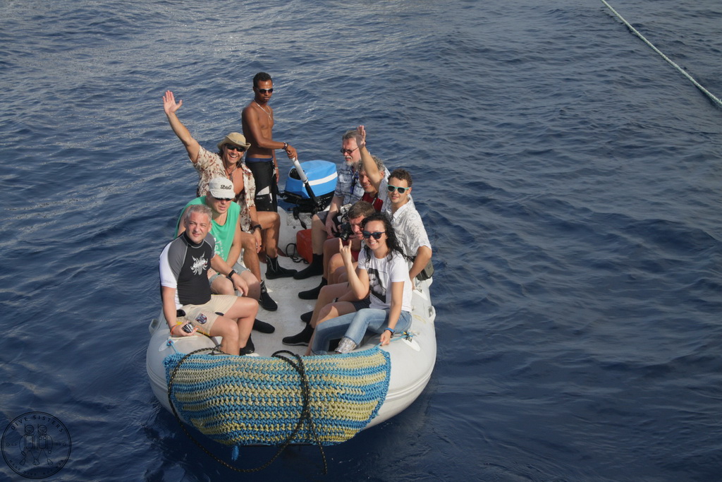 Сафари на Sea Serpent в июле 2013. Бразерсы, Дедалус, Эльфинстоун