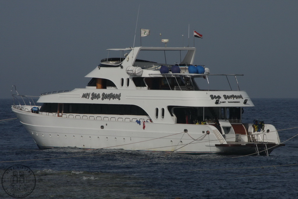 Сафари на Sea Serpent в июле 2013. Бразерсы, Дедалус, Эльфинстоун