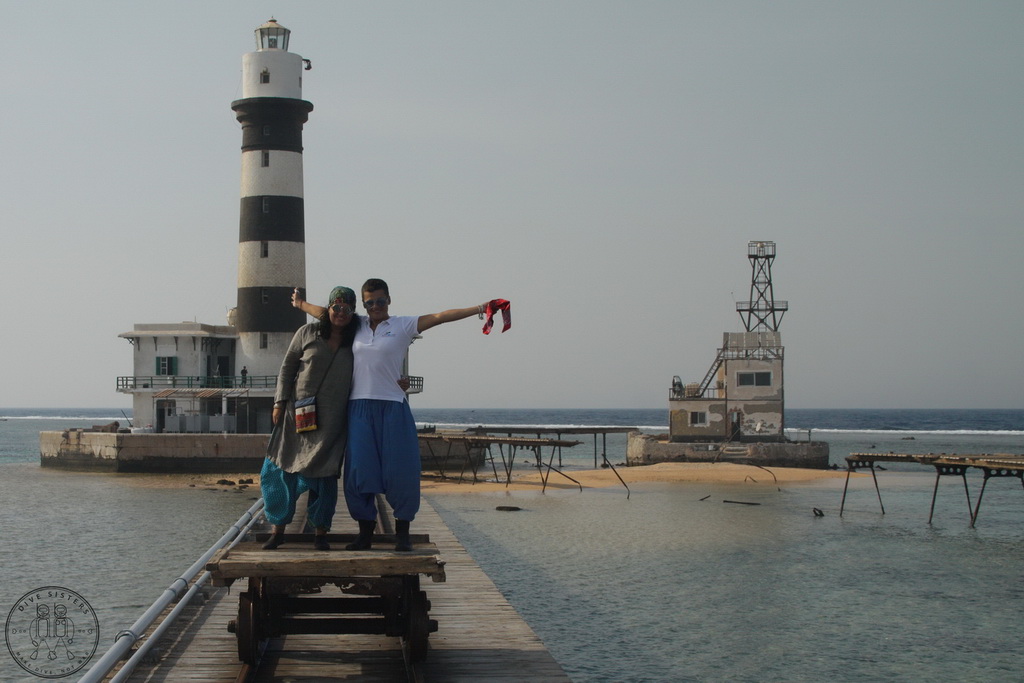Сафари на Sea Serpent в июле 2013. Бразерсы, Дедалус, Эльфинстоун