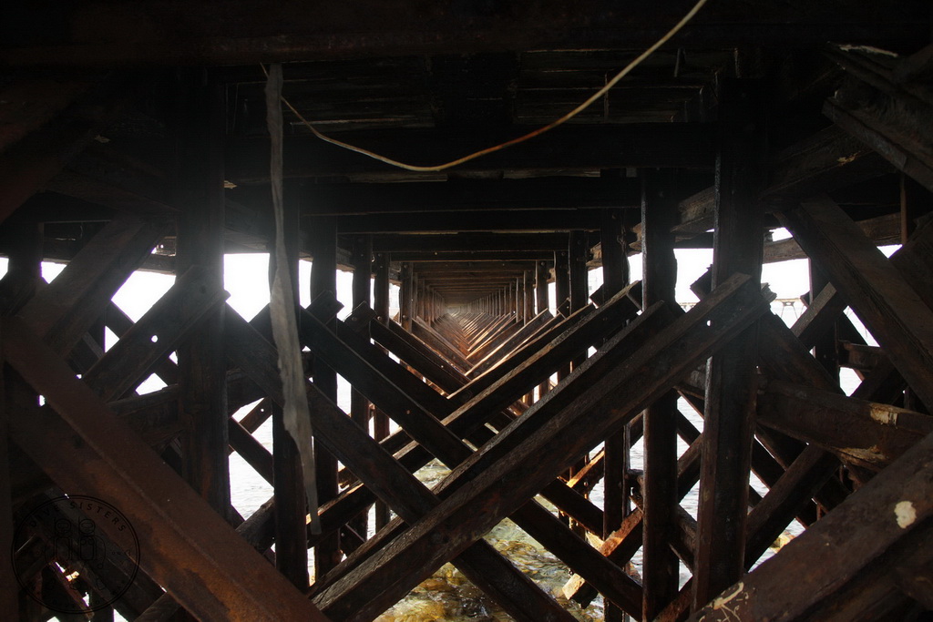 Сафари на Sea Serpent в июле 2013. Бразерсы, Дедалус, Эльфинстоун Сафари на Sea Serpent в июле 2013. Бразерсы, Дедалус, Эльфинстоун