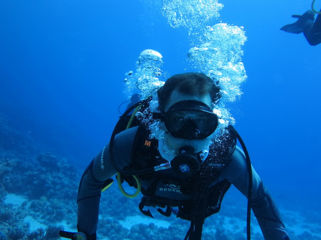 Сафари на Sea Serpent в июле 2013. Бразерсы, Дедалус, Эльфинстоун Сафари на Sea Serpent в июле 2013. Бразерсы, Дедалус, Эльфинстоун