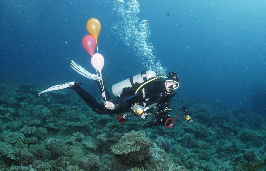 север север