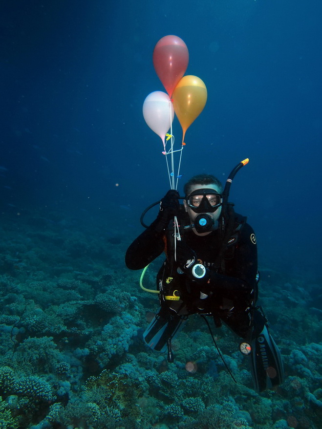 север север