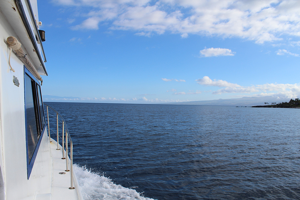 Гавайи. Август 2013. Гавайи. Август 2013.