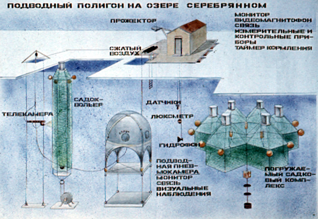 Подводный полигон на озере Серебряное (оз. Длинное) Подводный полигон на озере Серебряное (оз. Длинное)