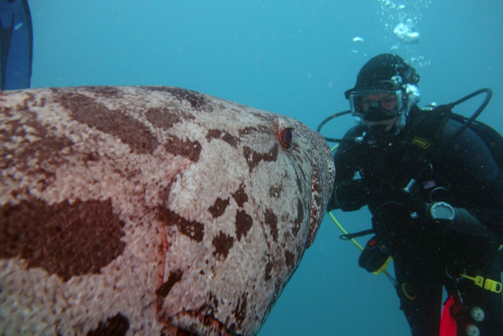 Австралия Австралия