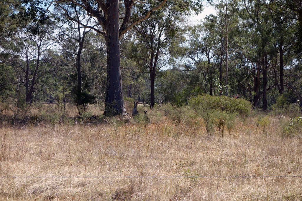 Австралия Австралия