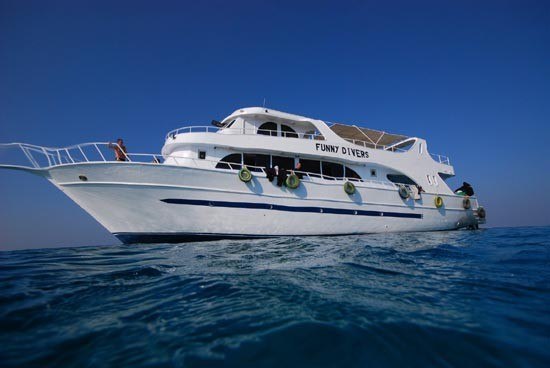 Наш бот Наш бот