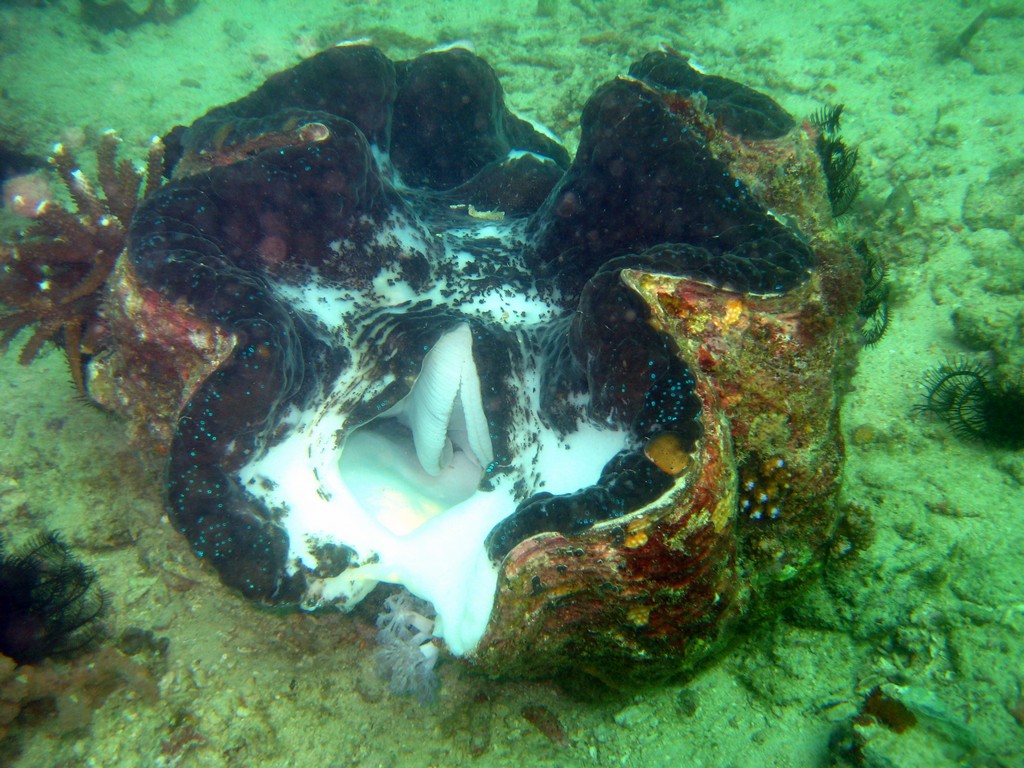 Филиппины 2014 Филиппины 2014