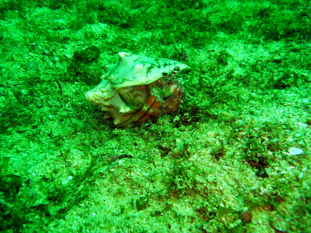 Филиппины 2014 Филиппины 2014