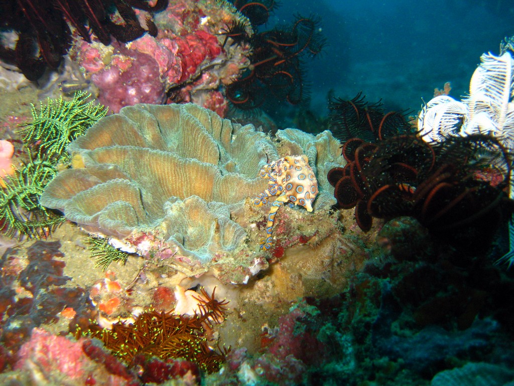 Филиппины 2014 Филиппины 2014