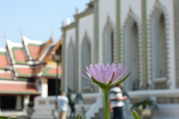 Тайланд 2014 Тайланд 2014