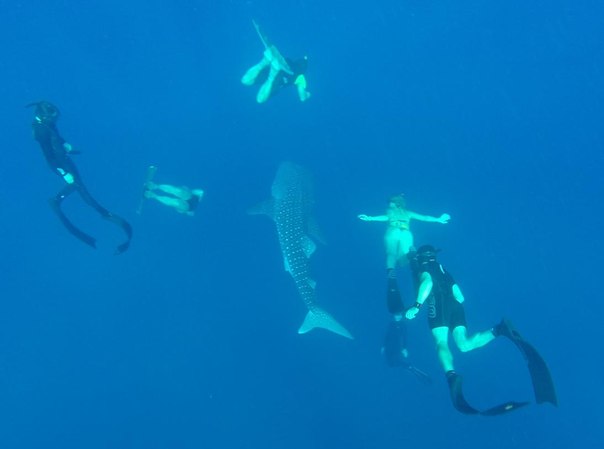 Тайланд 2014 Тайланд 2014