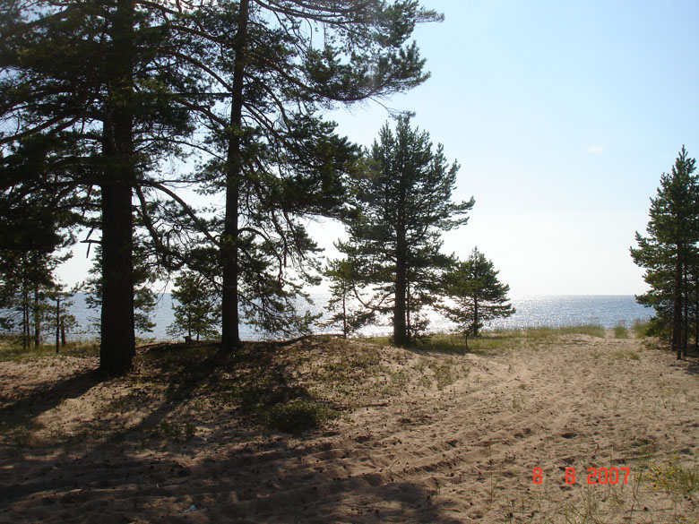 природа Карелии