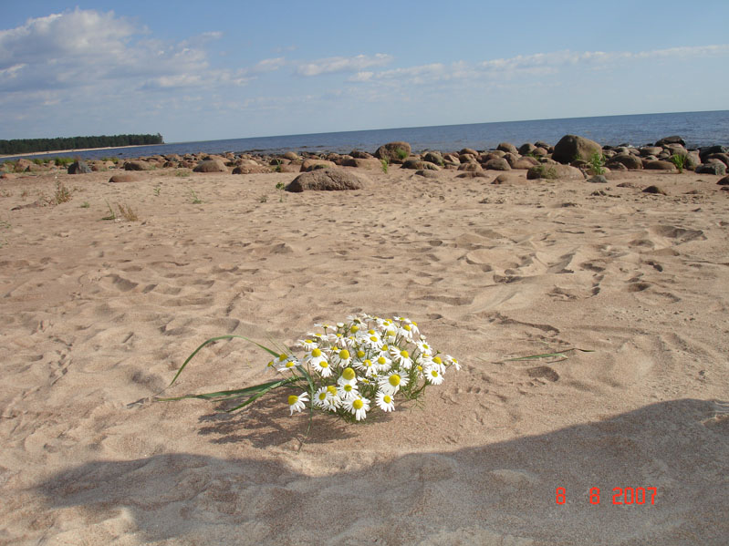 природа Карелии