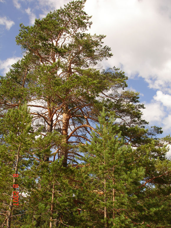 природа Карелии