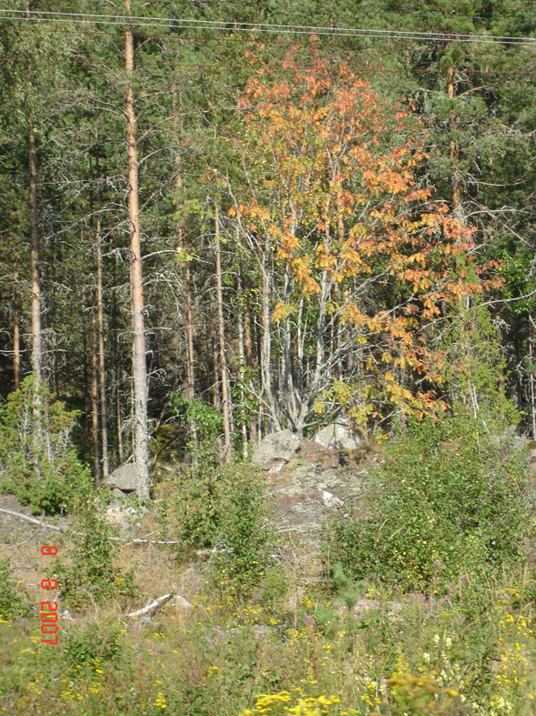 природа Карелии