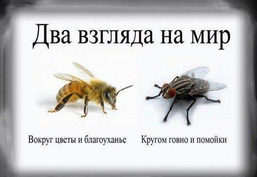 Два взгляда на мир.