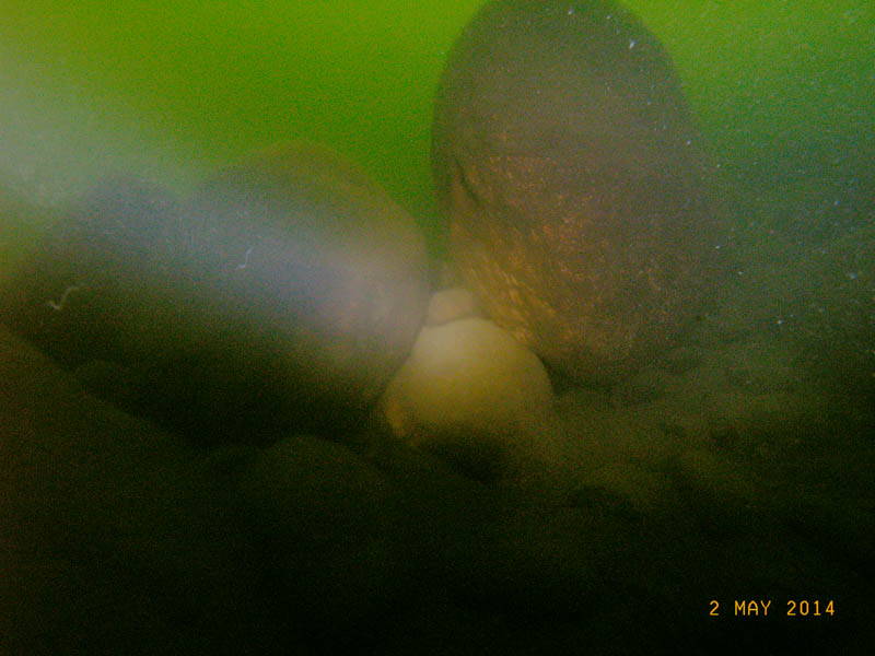 Саперное 02.05  1