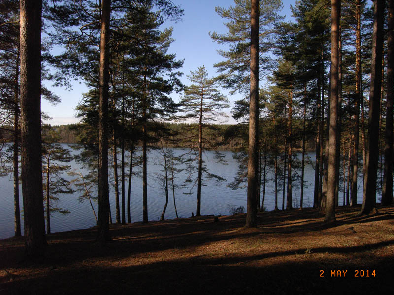 Саперное 02.05  3