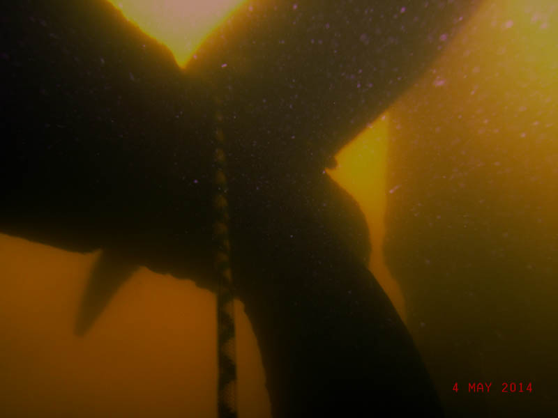 Надежда 04.05.14  1