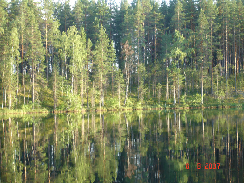 природа Карелии