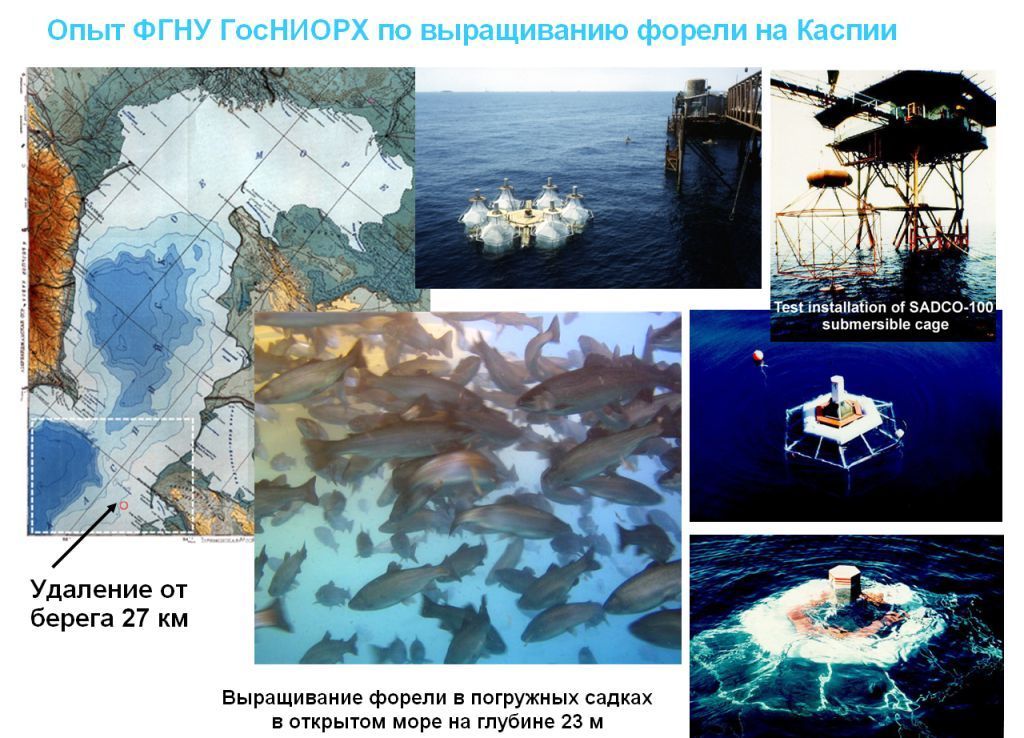 Прототипы погружных рыбоводных систем САДКО