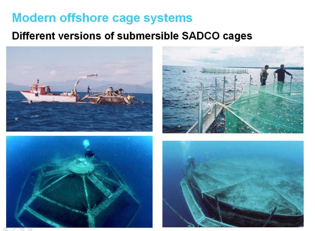 Современные версии погружной рыбоводной системы САДКО