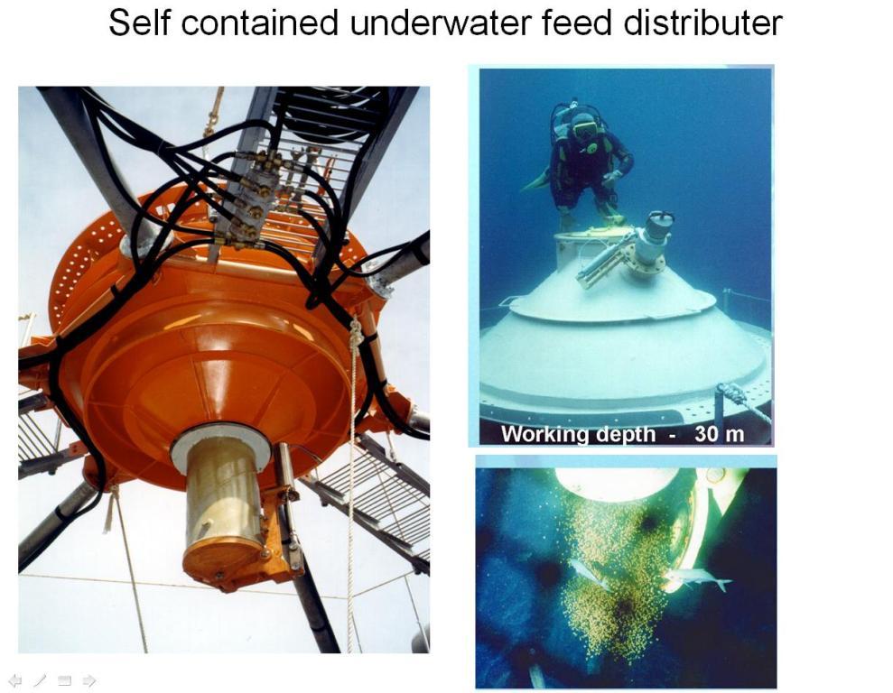 Подводный кормораздатчик САДКО