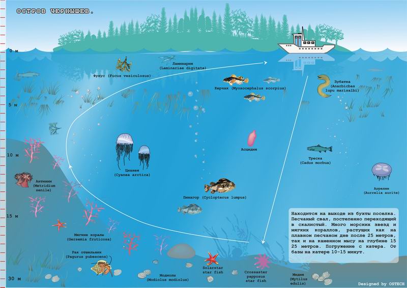 Нереис. Схемы мест погружений. Нереис. Схемы мест погружений.