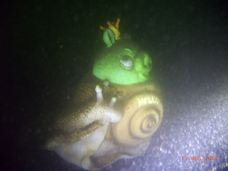 Саперное 17.08.2014 I