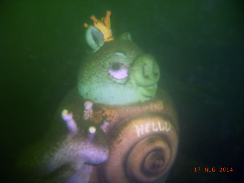 Саперное 17.08.2014 II