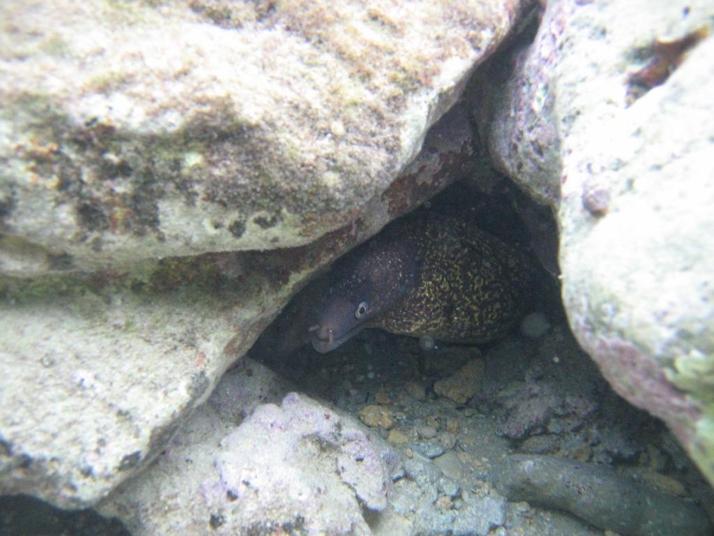 остров Закинф