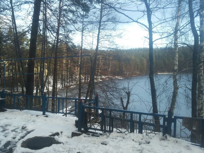 авроровец20.12.14