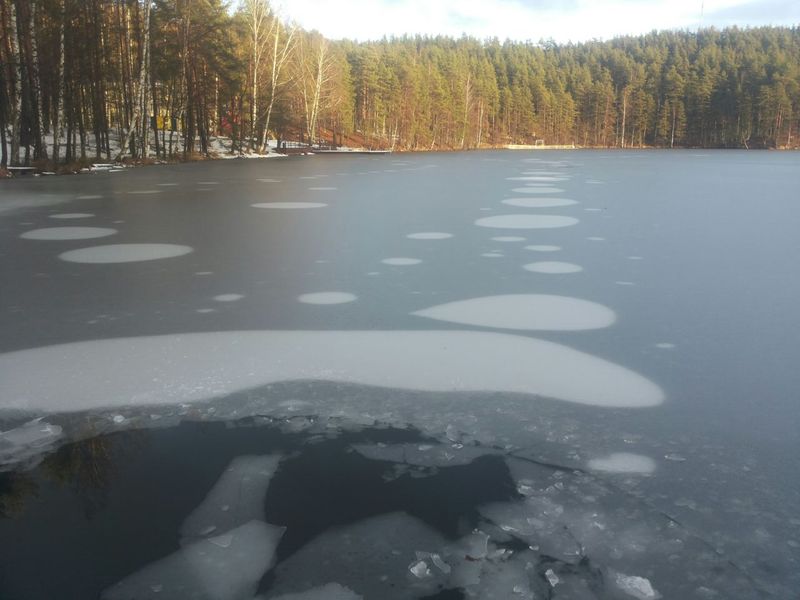 Длинное 20.12.14