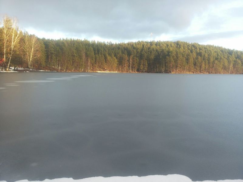 Длинное 20.12.14