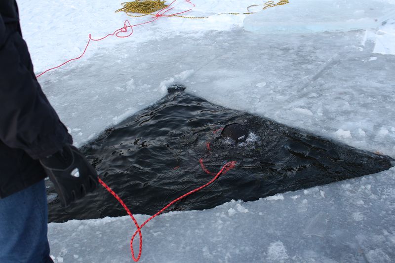 Семинар 05.01.15 Семинар 05.01.15