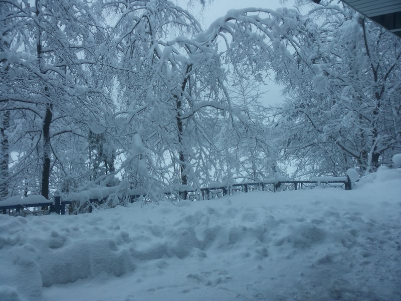 07 февраля 07 февраля