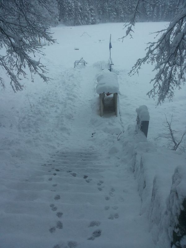 07 февраля 07 февраля