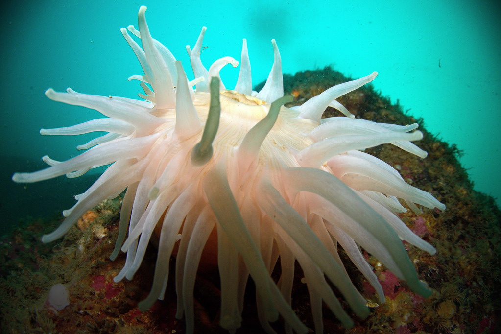 Ведехин 8.03.2015 Баренцево Ведехин 8.03.2015 Баренцево