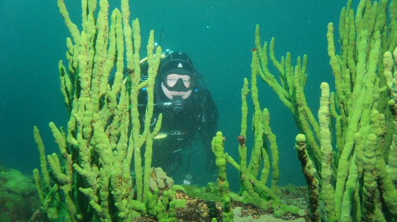 Байкал. Листвянка Байкал. Листвянка