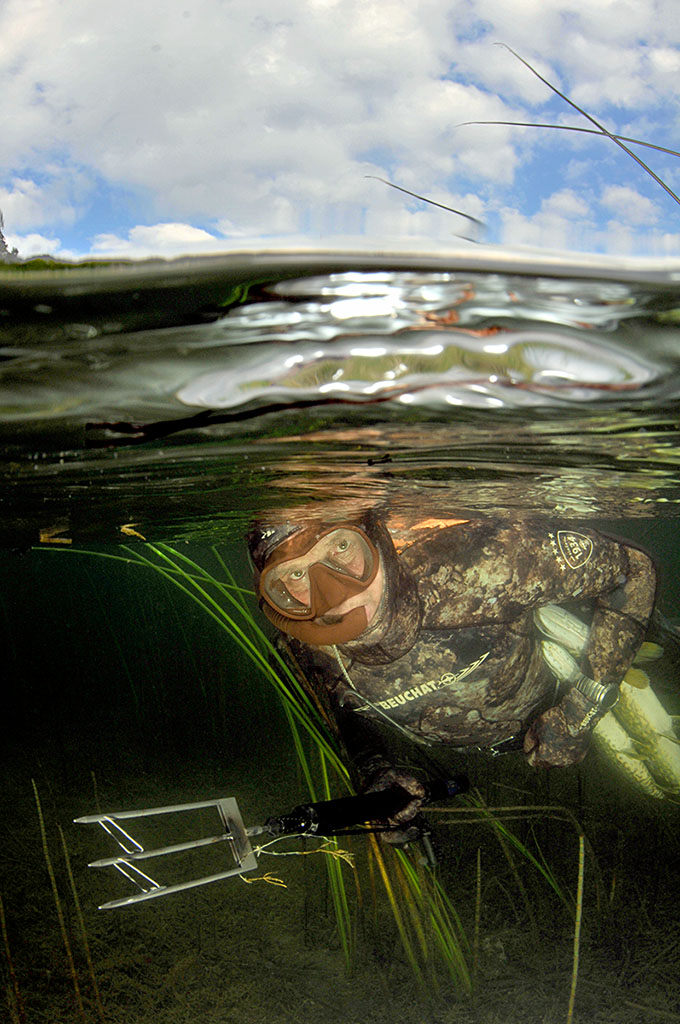 Бушафест 2015. Человек-легенда. Бушафест 2015. Человек-легенда.