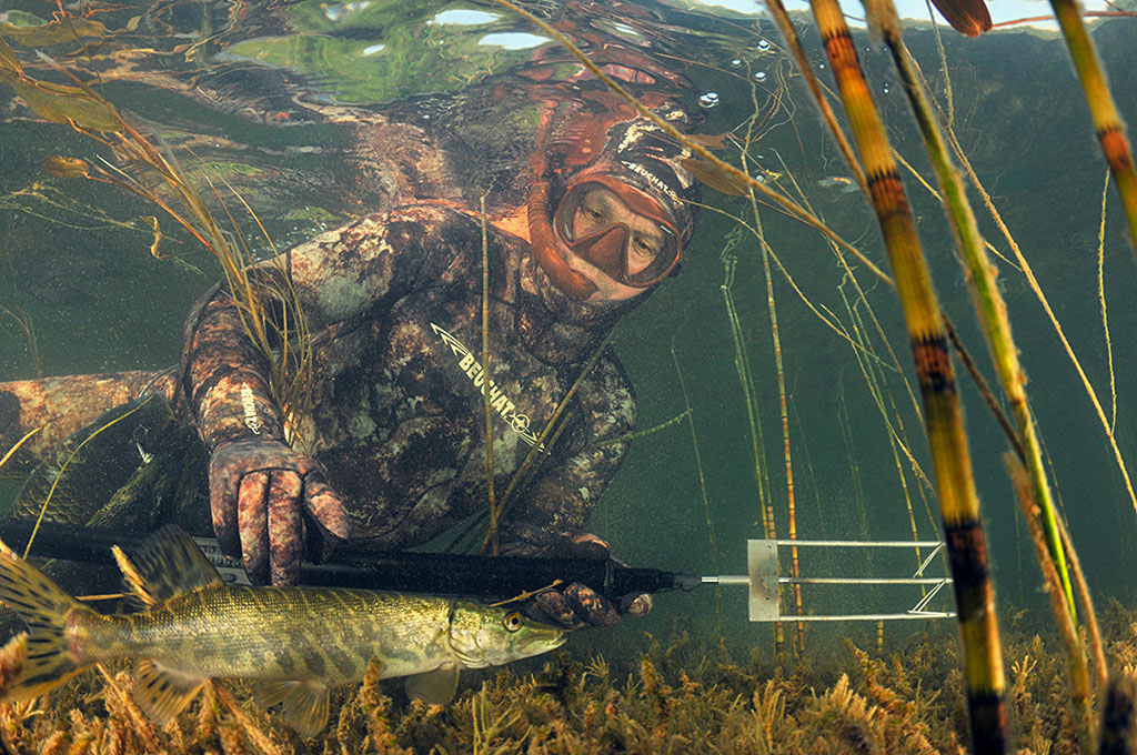 Бушафест 2015. Человек-легенда. Бушафест 2015. Человек-легенда.