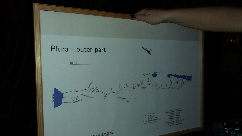 Плюра схема Плюра схема