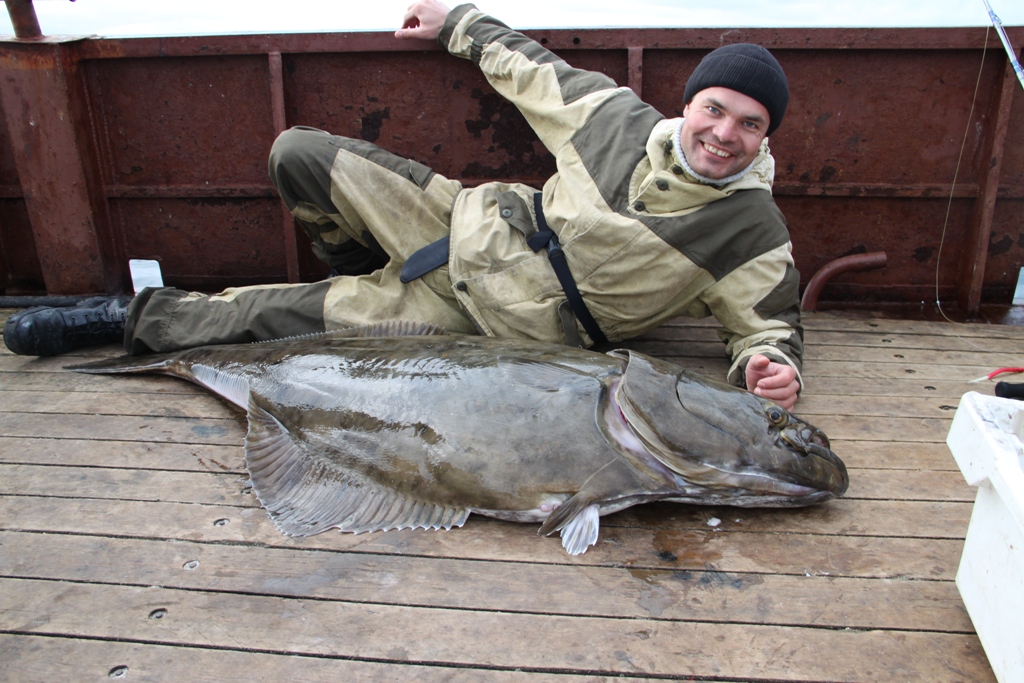 Рыба моей мечты Рыба моей мечты